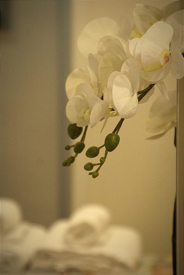 Apartamento Paula Valladolid Exteriér fotografie