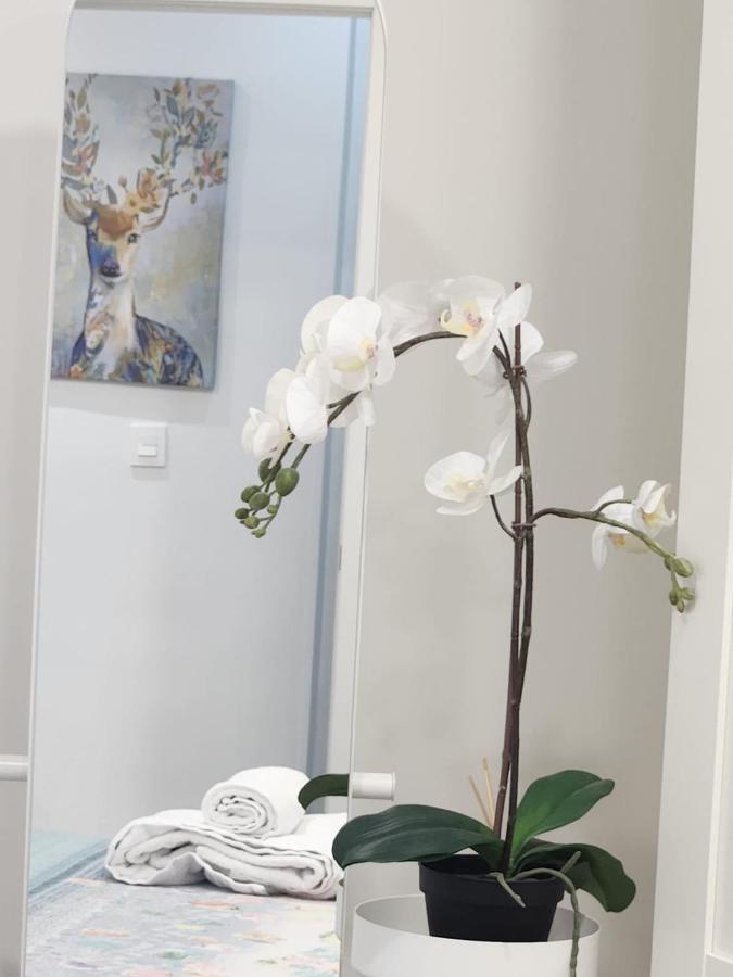 Apartamento Paula Valladolid Exteriér fotografie