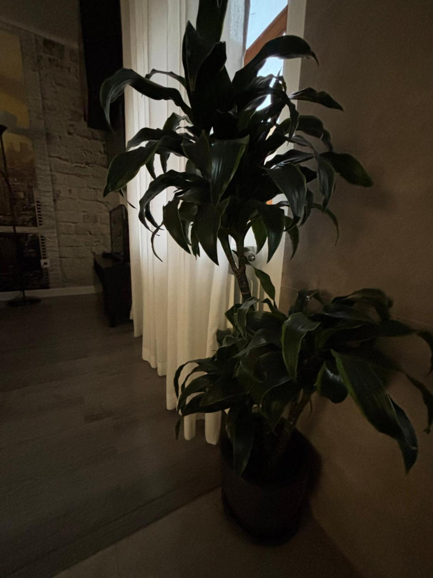 Apartamento Paula Valladolid Exteriér fotografie